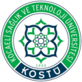 Kostu e1718137288303